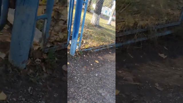 Истринский военкомат - повестку Активисту принесла сотрудник ЖКХ, на которую он часто жаловался смотреть онлайн