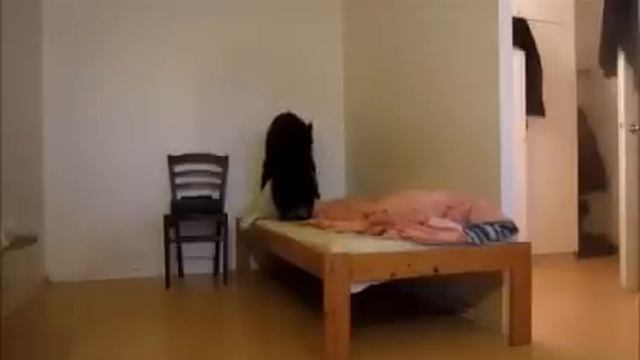 Собака отодрала подушку хозяина, в его отсутствие)))))) смотреть онлайн