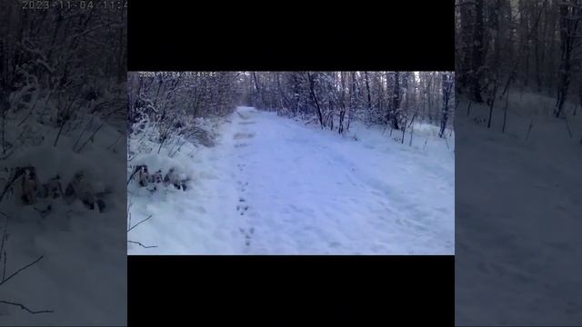 Закрытие сезона рыбалки на магнит смотреть онлайн