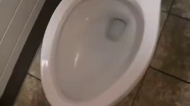 Brand New Gerber Ultraflush Toilet смотреть онлайн