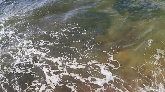 Одесса 5 минут назад. МОРЕ УЖЕ ОЧИСТИЛОСЬ?! ЧТО ПРОИСХОДИТ НА ПЛЯЖАХ! смотреть онлайн