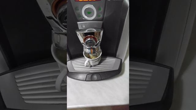 Saecco primea kappucino ring смотреть онлайн