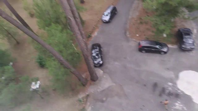 Абхазия, пансионат Пицунда. Утренние цикады. смотреть онлайн