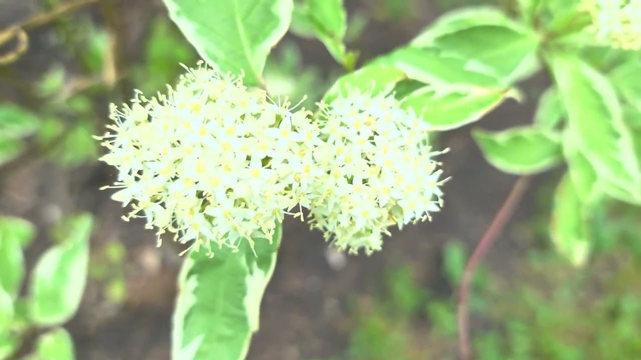 Уфа смотреть онлайн