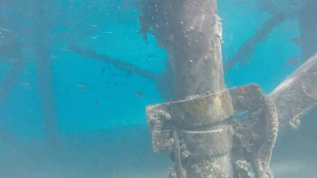 Красное море рыбки(2) смотреть онлайн