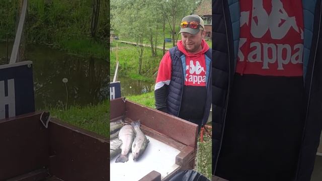 Каньон рыбалка на форель. #каньон #рыбалкавподольске смотреть онлайн