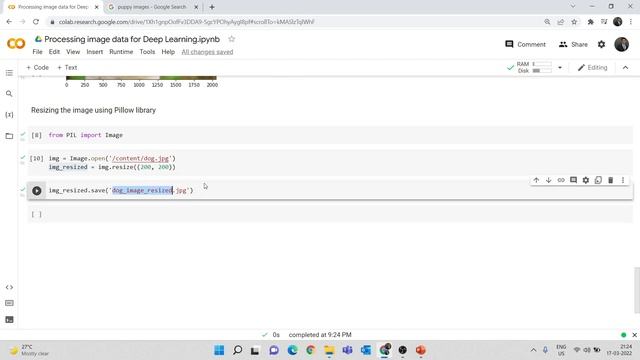 Processing Image data in Python for Deep Learning Applications | Image Processing with Python смотреть онлайн