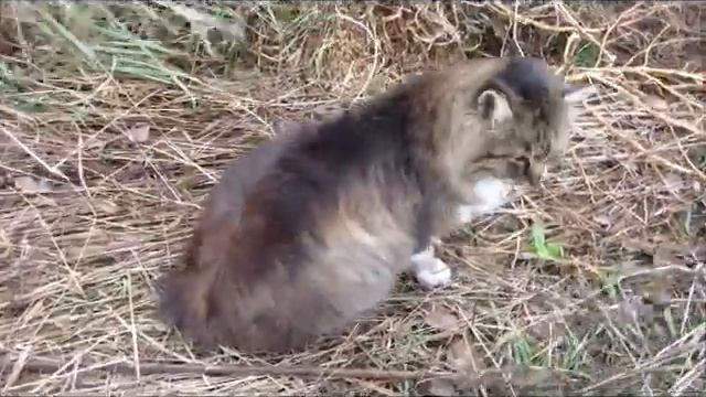 Прощай осень,здравствуй зима! смотреть онлайн