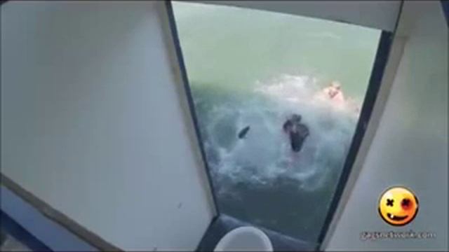 Из тубзика в воду смотреть всем!!! смотреть онлайн