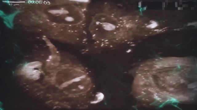 EDENGATE The Edge of Life - #4 ll THE ENDING ll Life Is All About Connections #EDENGATETheEdgeofLif смотреть онлайн