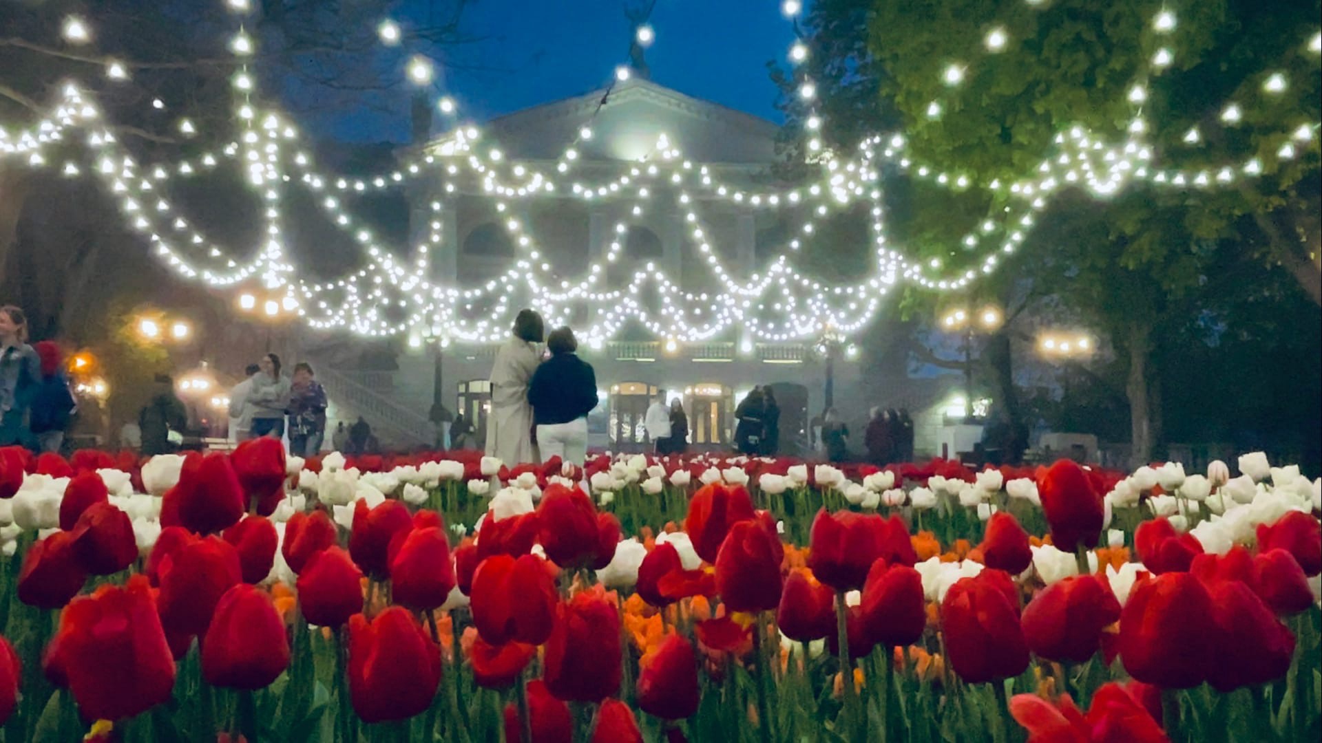 Севастополь. Такого еще не было. Парад тюльпанов на Приморском бульваре. На пароме в туман. Крым 202 смотреть онлайн