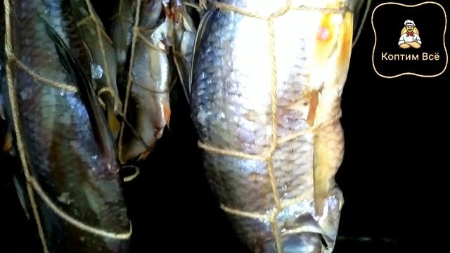 ?Как коптить лещя?горячий способ копчения белой рыбы. смотреть онлайн