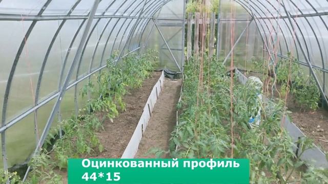 Теплица "Дачная-Эко" 13 лет на дачном участке в подмосковной Дубне смотреть онлайн