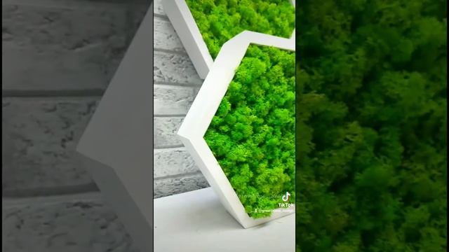 Соты со стабилизированным мхом. Размер 23*25 см. смотреть онлайн