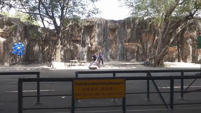 Тигровый зоопарк в Сираче (Паттайа)! Sriracha Tiger Zoo ! смотреть онлайн