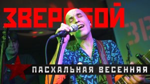 ЗВЕРОБОЙ - «Пасхальная весенняя». Концерт 19.11.21.