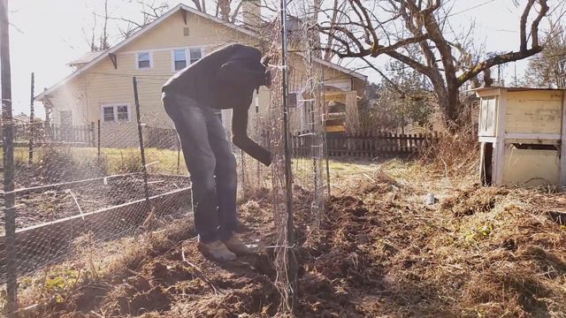 Spring Garden Madness Begins! Come Direct Sow Peas with Me | Experiments with Soaking смотреть онлайн