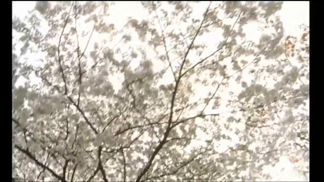 Dawn in the Adan- Ichiko Aoba Edit смотреть онлайн