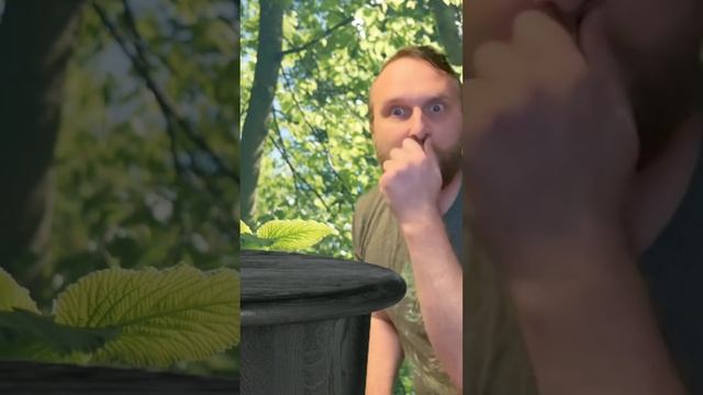 Den of the MMO Neckbeard смотреть онлайн