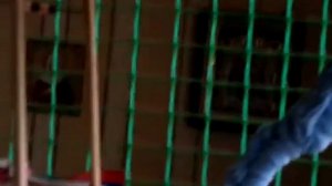 Как определить ,что самка попугая скоро отложит яйца.