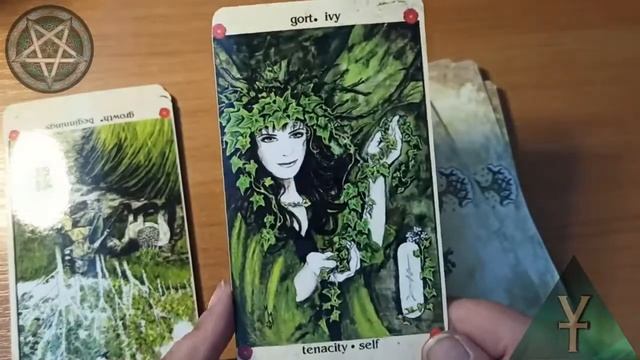 Voice Tree Oracle Оракул Голос Деревьев смотреть онлайн