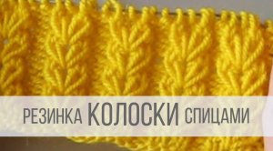 Резинка Колосок спицами