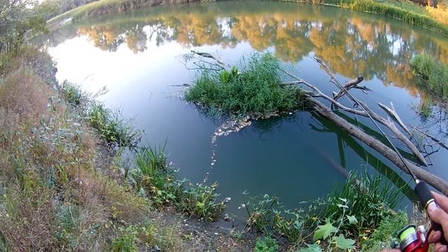 рыбалка на спиннинг в сентябре смотреть онлайн
