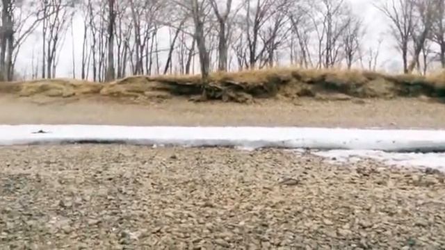 Весна пришла. Биробиджан. смотреть онлайн