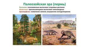 Биология 9 класс. Тема урока: "Этапы развития жизни на Земле".