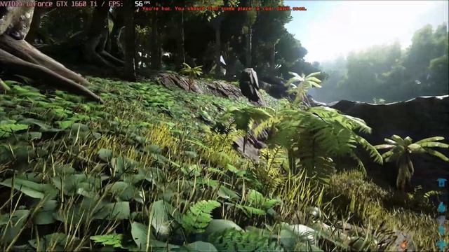 ? NVIDIA GeForce GTX 1660 Ti [Laptop] - ARK: Survival Evolved gameplay benchmarks (1080p) смотреть онлайн