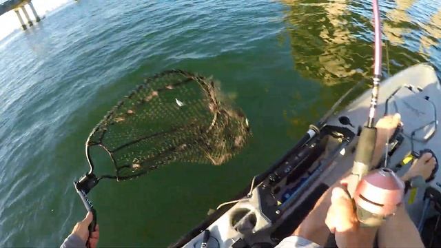 Spincast Combo Catches a Trophy Fish? (Zebco 202) смотреть онлайн