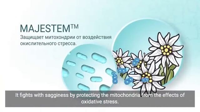 APLGO’s BEAUTY Collection смотреть онлайн