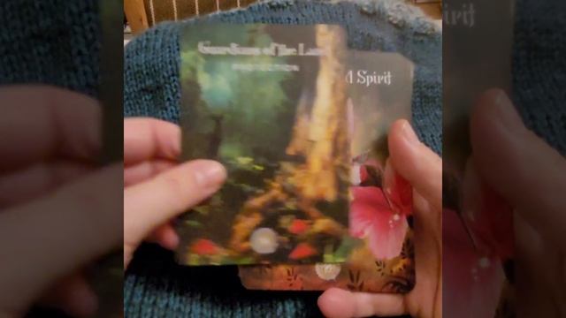 The Sacred Forest Oracle cards (look through) смотреть онлайн