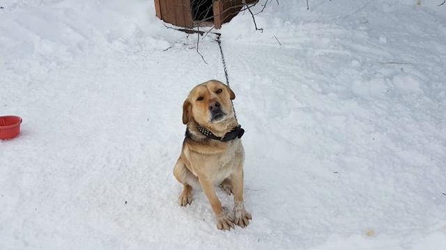 Самый надёжный карабин смотреть онлайн