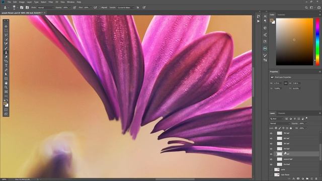 Still Image Animation After Effects | Make Photo Come To Life | After Effects Timelapse смотреть онлайн