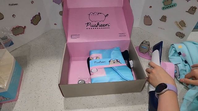 ? Pusheen Winter 2022 Box!