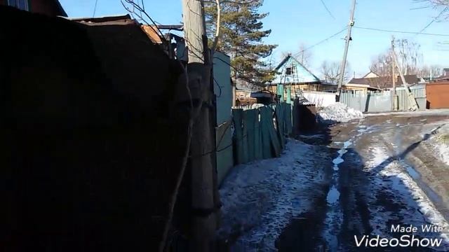 Реакция собак на электрошокер тест как электрошокер отпугивает собак смотреть онлайн