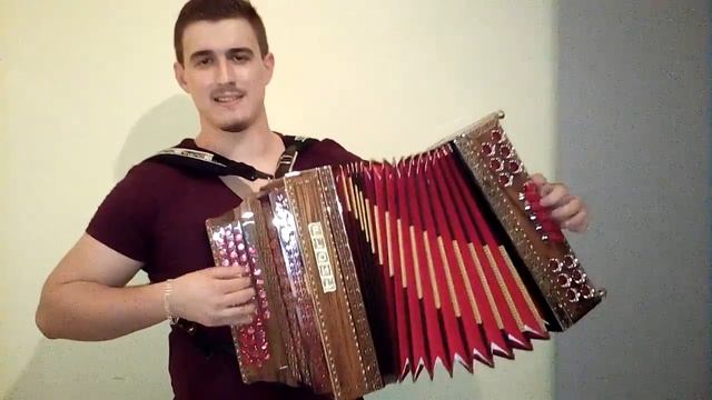 Slovenija od kod lepote tvoje (Avsenik) Plohl harmonika смотреть онлайн