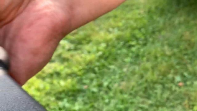 Пневматическая винтовка Borner Xsb1