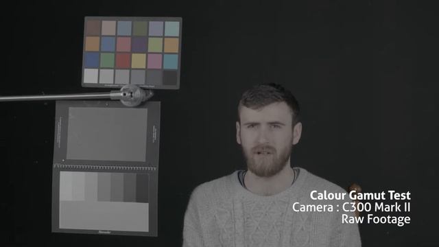 Color Gamut Test (ARRI ALEXA vs C300 Mark II) смотреть онлайн