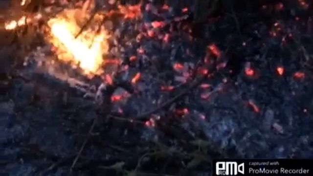 Наводим порядок на даче. смотреть онлайн