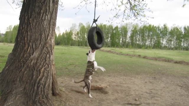 Хан и колесо смотреть онлайн