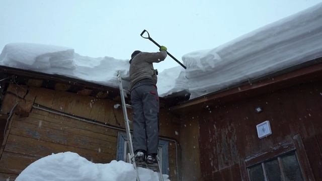 Зимние будни | А зима будет большая... Варвара Визбор смотреть онлайн