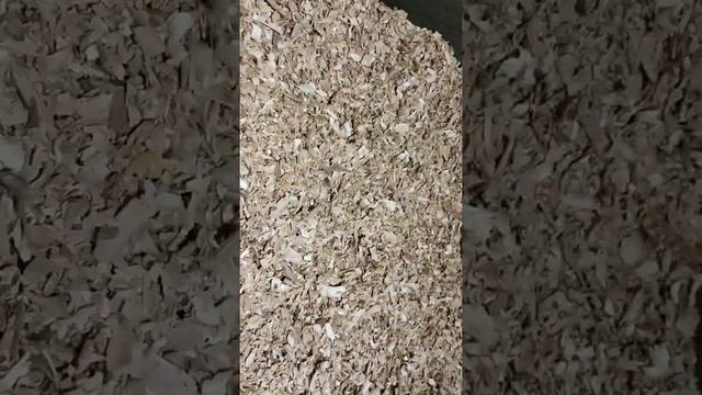 #Щепа для копчения. #щепа #яблоня #березовка смотреть онлайн