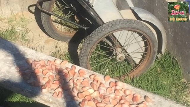 Дача с 0 цикла, октябрь