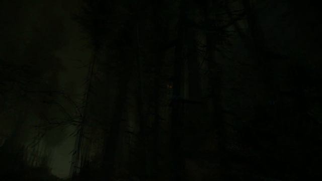 The Cursed Forest - Это Он?? Она?? Оно?? О_о смотреть онлайн