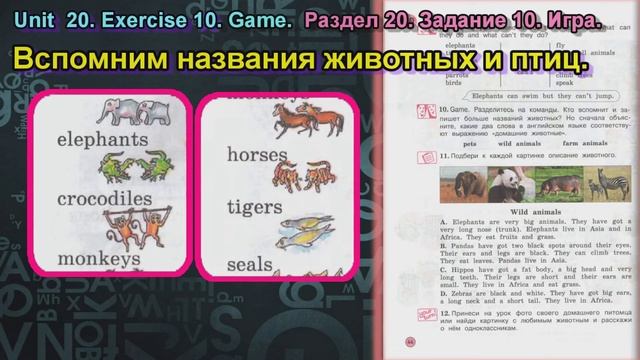 10 задание. 20 раздел 3 класс учебник Вербицкая Английский язык Forward смотреть онлайн