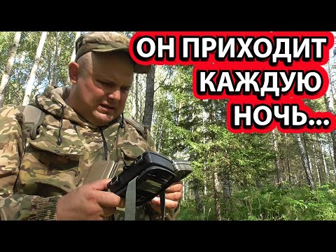 Кадры с фотоловушки НОВЫЙ СОЛОНЕЦ август 2021 смотреть онлайн