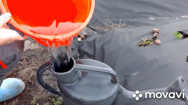 Если хотите много КЛУБНИКА это надо делать сейчас 🍓🍓🍓🍓🍓👍ВЕСНОЙ