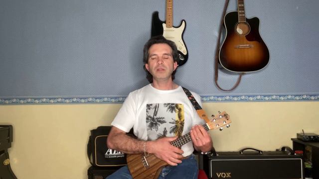 Wonderful life - Black (Katie Melua) - cours ukulélé Chris 44 смотреть онлайн